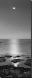 Vollmond am Meer Leinwand von Stephen Rutherford-Bate