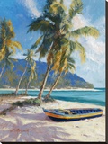 Island Dream Stretched Canvas Print by Nenad Mirkovich
