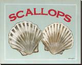 Scallops Stretched Canvas Print by Catherine Jones