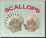 Scallops Stretched Canvas Print by Catherine Jones