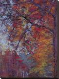 Crystalline Sky Stretched Canvas Print by Dorothy Fagan