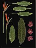 Tropical Two Reproduction transférée sur toile par Brian Foster