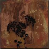 Sienna I Stretched Canvas Print by Shawn Farley Black