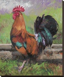 Red And Turquoise Rooster Stretched Canvas Print by Nenad Mirkovich
