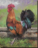 Red And Turquoise Rooster Stretched Canvas Print by Nenad Mirkovich