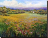 Morning Mist Stretched Canvas Print by Jan E. Moffatt