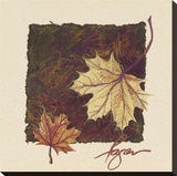 Maple III Stretched Canvas Print by Dorothy Fagan