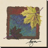 Maple V Stretched Canvas Print by Dorothy Fagan