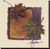 Maple II Stretched Canvas Print by Dorothy Fagan