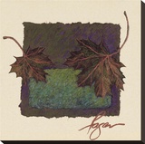 Maple IV Stretched Canvas Print by Dorothy Fagan