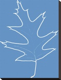 Leaf V Stretched Canvas Print by Michael Banks