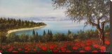 Papaveri sulla baia Stretched Canvas Print by Tebo Marzari