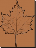 Leaf IV Stretched Canvas Print by Michael Banks
