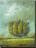 Wistful Stretched Canvas Print by Jennifer Lanne