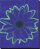 Crayon Fleur III Stretched Canvas Print by Michael Banks