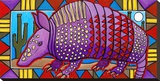 Dillo Stretched Canvas Print by D.G. House