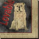 Bull Dog Stretched Canvas Print by Karen J. Williams