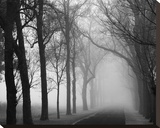 Foggy Lane Stretched Canvas Print by Keith Dotson