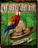 Margarita Stretched Canvas Print by Karen J. Williams