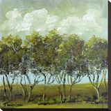 Walking Trees Stretched Canvas Print by Jennifer Lanne