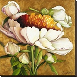 La Terra Stretched Canvas Print by Elisa Nucci