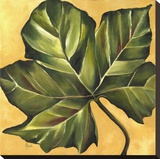 Feuille de Sycomore Reproduction transférée sur toile par Constance Lael