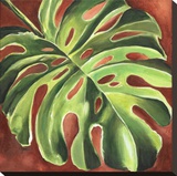 Feuille de Philodendron Reproducción en lienzo de la lámina por Constance Lael
