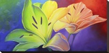 Flamboyant Stretched Canvas Print by Joe Sambataro