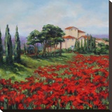 Poppies Stretched Canvas Print by Jan E. Moffatt