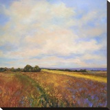 October Stretched Canvas Print by Jan E. Moffatt