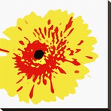 Pop Flower III Stretched Canvas Print by Michael Banks