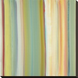 Clear Light 16 Stretched Canvas Print by Willy Richardson