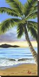 Solitude Shores Stretched Canvas Print by Pete Tillack