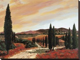 Tuscan Sunset II Stretched Canvas Print by D. J. Smith