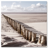 Way Of Golden Sands Pósters