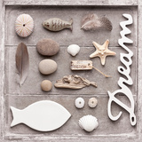 Potpourri of Dreams Prints by Andrea Haase