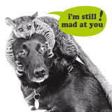 I'M Still Mad At You! Affiche