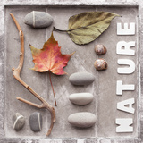 Nature Potpourri Prints by Andrea Haase