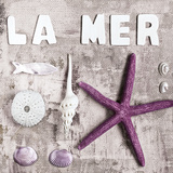 Ètoile de la mer Prints by Andrea Haase