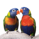 Just Married Poster