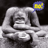 No! Affiches