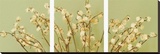 Lily of the Valley Triptych Stretched Canvas Print by June Hunter