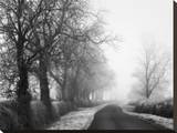 Misty Tree-Lined Road Stretched Canvas Print by Stephen Rutherford-Bate