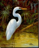 Tropical Egret I Stretched Canvas Print by Kilian 