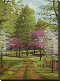 Dogwood Lane Stretched Canvas Print by Lene Alston Casey