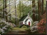 Spring Hope Stretched Canvas Print by Lene Alston Casey