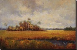 Oasis in the Fall Stretched Canvas Print by Hannah Paulsen