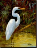 Tropical Egret I Stretched Canvas Print by Kilian 
