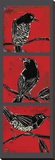 Black Birds Stretched Canvas Print by Mark Gleberzon