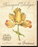 Perroquet Tulipe Reproduction transférée sur toile par Constance Lael